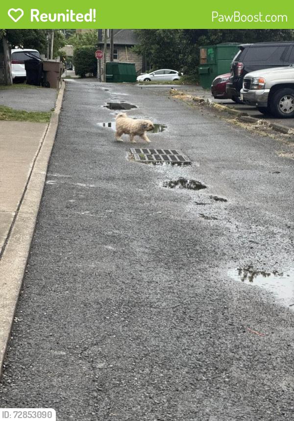 Reunited Unknown Dog last seen Hillsboro Village #803 Alley before #815 Alley, Nashville, TN 37212