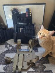 Lost Male Cat last seen Tortilla Factory, Cheyenne, WY 82007