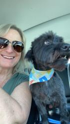 Lost Male Dog last seen Luttrell elementary school , Luttrell, TN 37779