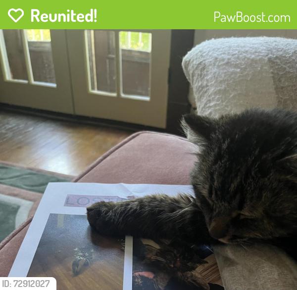 Reunited Male Cat last seen Christophe Colomb, Montréal, QC H2J 1L1