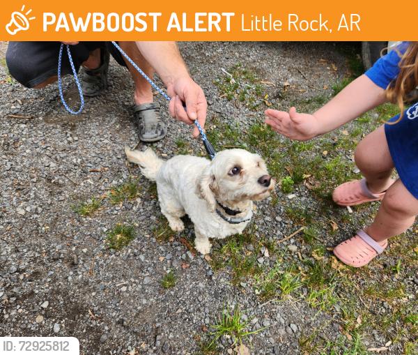Found/Stray Female Dog last seen Edward's Food Giant/Stagecoach , Little Rock, AR 72210