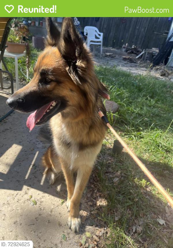 Reunited Female Dog last seen Lone Oak Park, Antelope, CA 95843