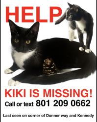 Lost Female Cat last seen DONNER and Kennedy, Salt Lake City, UT 84108