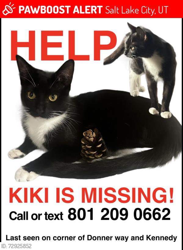 Lost Female Cat last seen DONNER and Kennedy, Salt Lake City, UT 84108