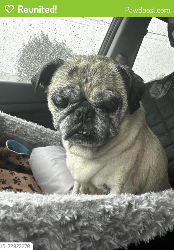 Reunited Unknown Dog last seen Mansfield Webb Rd and Ballweg Rd., Arlington, TX 76002