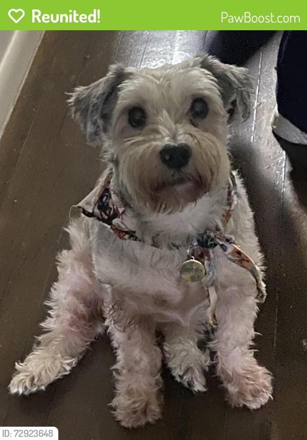 Reunited Male Dog last seen Near 21 96st East Elmhurst , Queens, NY 11369