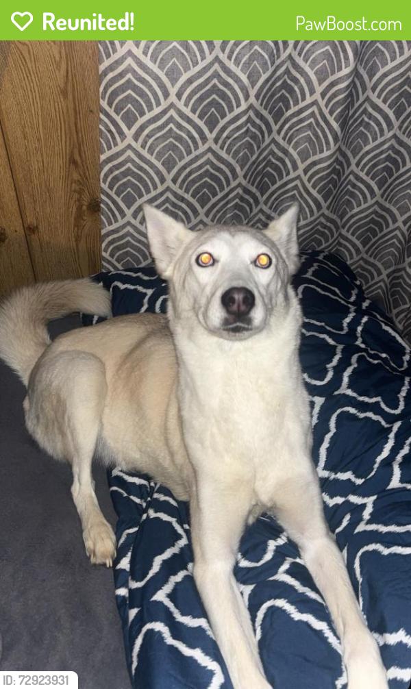 Reunited Female Dog last seen Northpoint dr , Davidson County, NC 27295