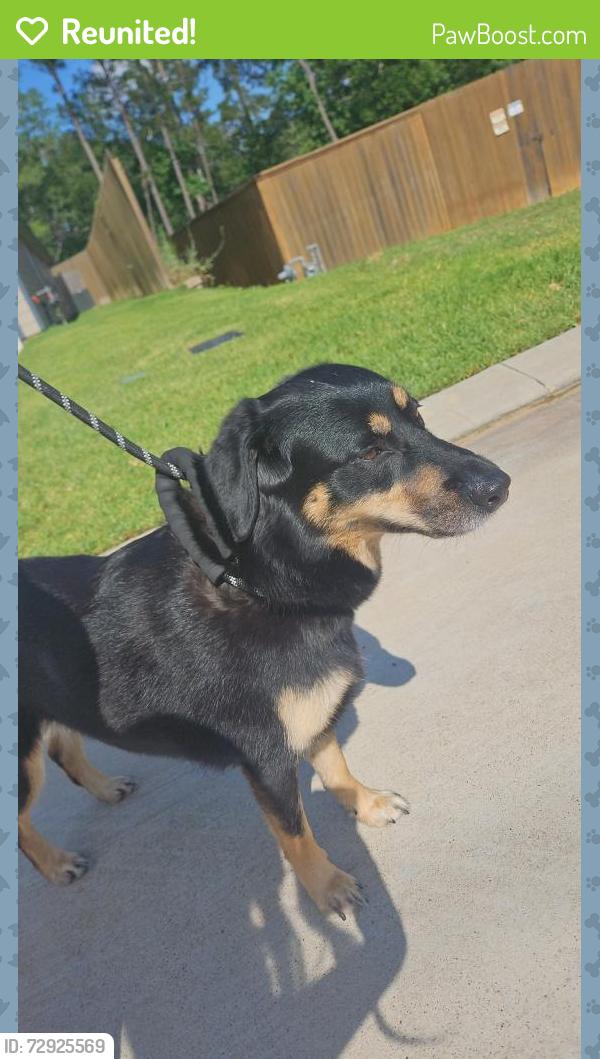 Reunited Unknown Dog last seen Carriage hills and riverside neighborhood, Conroe, TX 77384