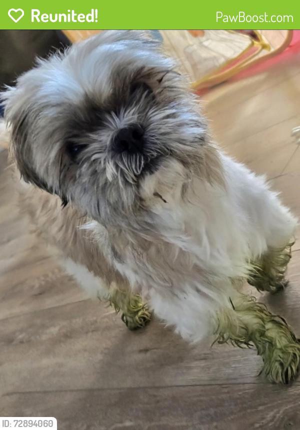 Reunited Male Dog last seen Near Crab Tavern, Darby, PA 19023