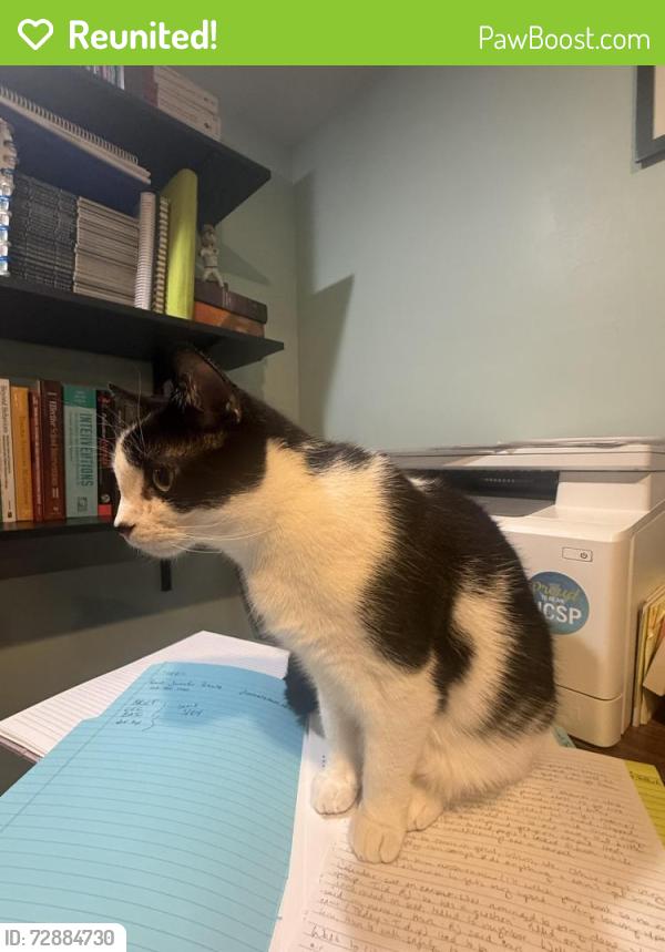 Reunited Male Cat last seen Western Ave & South Street, Jackson, WI 53037