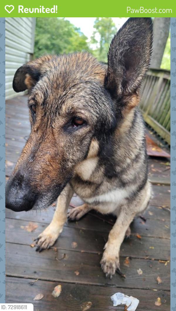 Reunited Female Dog last seen 5th Street near Mount West Community College, Huntington, WV 25701
