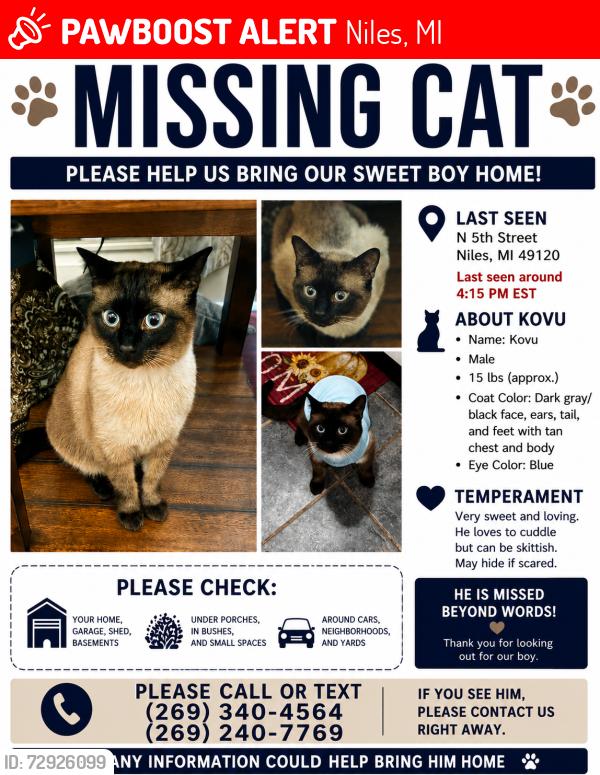 Lost Male Cat last seen Lake st and 5th st Niles MI, Niles, MI 49120