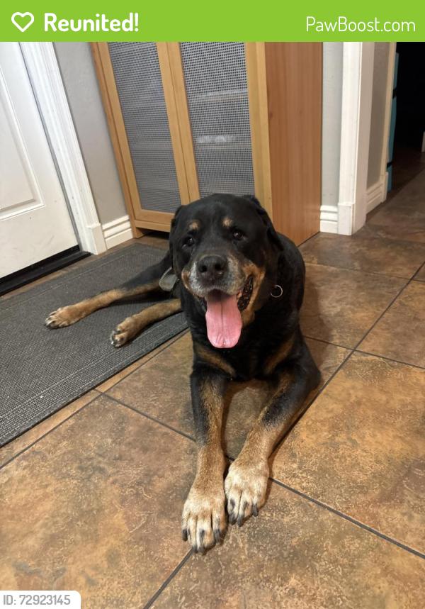 Reunited Male Dog last seen Scottsdale Rd and Thunderbird , Scottsdale, AZ 85254