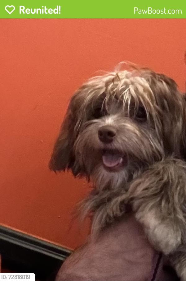Reunited Female Dog last seen e cesar e chavez ave and mccdonal, East Los Angeles, CA 90022
