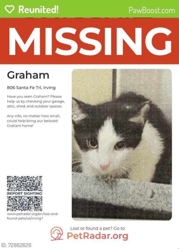 Reunited Male Cat last seen Rodeo drive, Irving, TX 75063