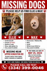 Lost Female Dog last seen Upper Kingston rd , Prattville, AL 36067