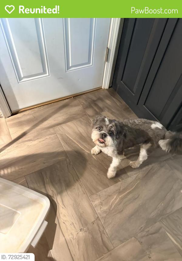 Reunited Male Dog last seen Wilshire and western, Oklahoma City, OK 73114