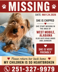 Lost Female Dog last seen Olde Gate Road , Mobile, AL 36695