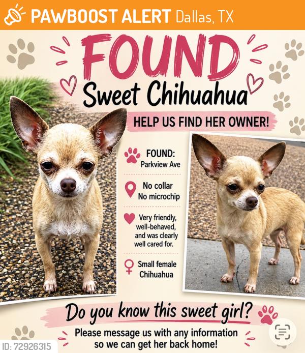 Found/Stray Female Dog last seen Parkview Ave and Santa Fe Ave, Dallas, TX 75223