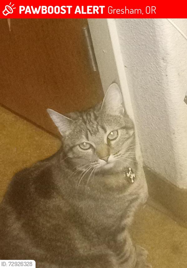 Lost Female Cat last seen Near se Liberty Ct , Gresham, OR 97030
