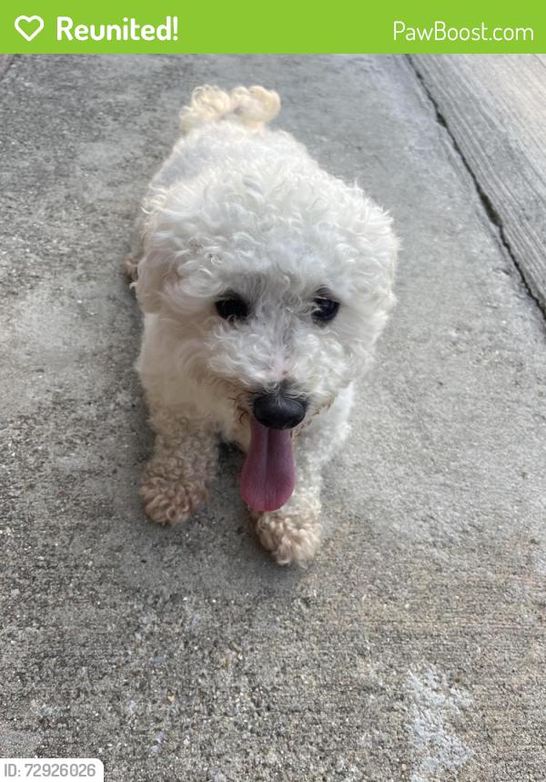 Reunited Male Dog last seen Near s Massasoit Ave, Chicago, IL 60638