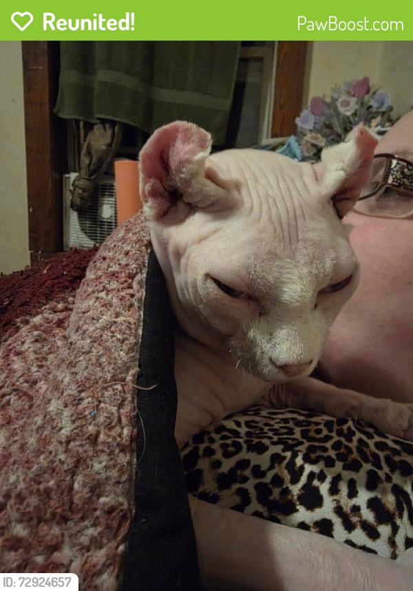 Reunited Male Cat last seen 17th and port, Muncie, IN 47302