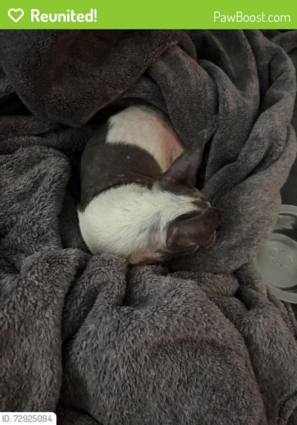 Reunited Female Dog last seen park st ceres, Ceres, CA 95307