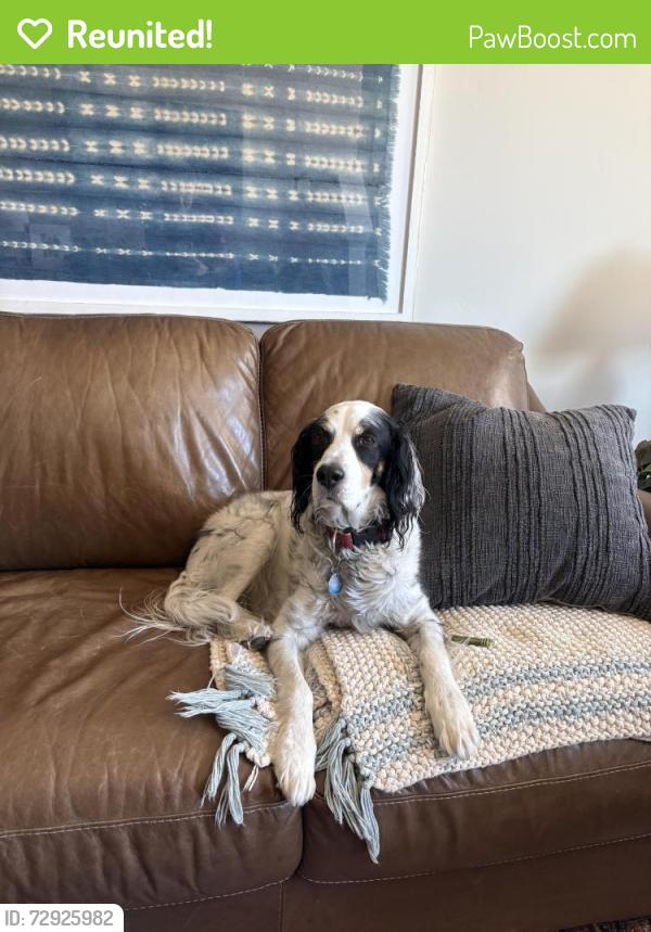 Reunited Male Dog last seen Trailside Dog Park , East Basin, UT 84098