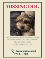 Lost Female Dog last seen Muscoy , San Bernardino, CA 92407