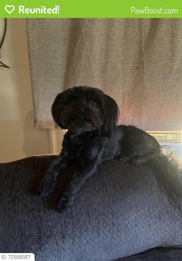 Reunited Male Dog last seen Near n Conejo ave Modesto , Modesto, CA 95354