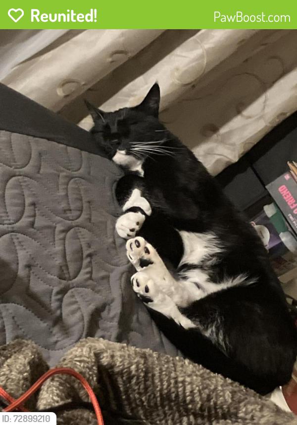Reunited Male Cat last seen zion pkwy nw & 226th Ln NW and zion parkway NW & 228th Ln NW, Bethel, MN 55005