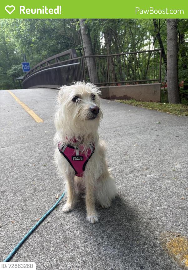 Reunited Female Dog last seen Marathon Gas Station, Acworth, GA 30102