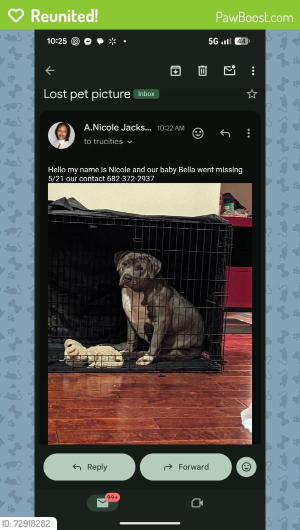 Reunited Female Dog last seen Bentwater Pkwy , Cedar Hill, TX 75104