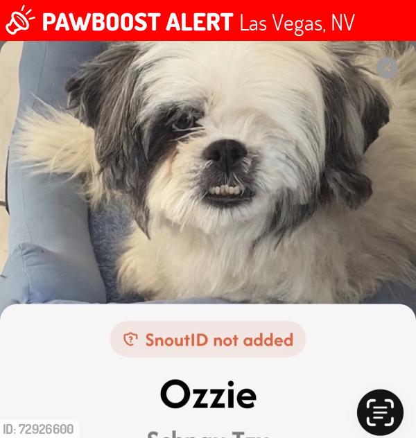 Lost Male Dog last seen Charleston and Valley View, Las Vegas, NV 89107