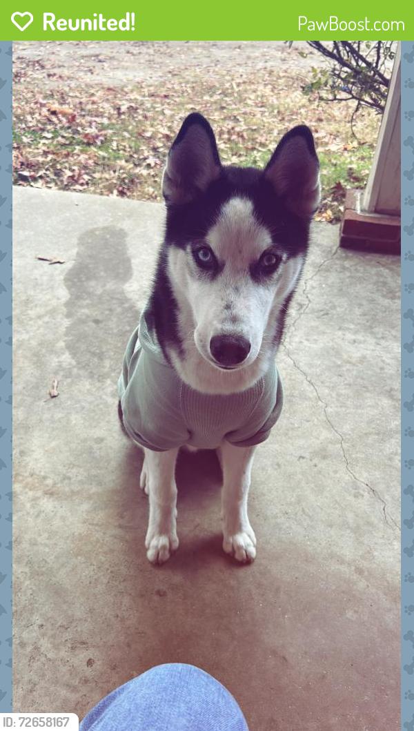 Reunited Male Dog last seen Bensley park, Richmond, VA 23237