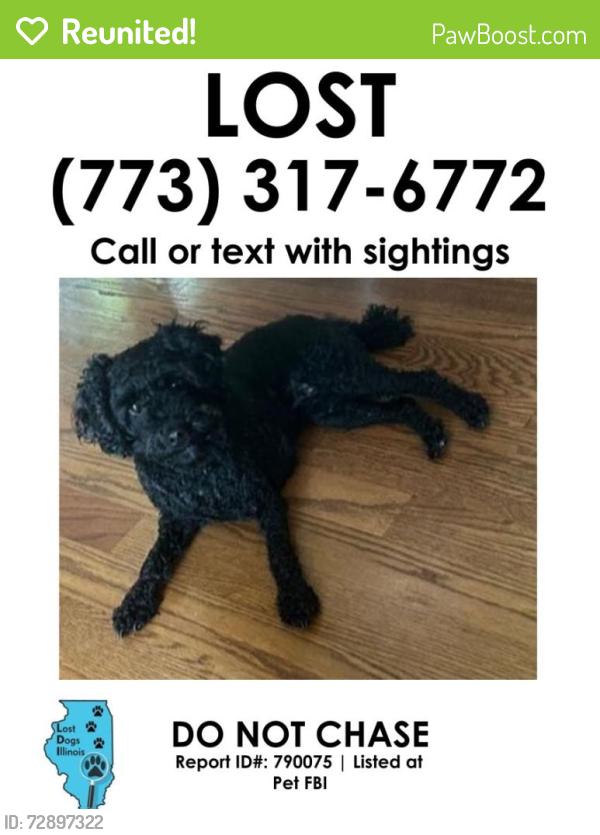 Reunited Female Dog last seen Near West 87th St oaklawn IL , Burbank, IL 60459
