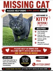 Lost Female Cat last seen Blue Diamond/cimarron, Enterprise, NV 89113