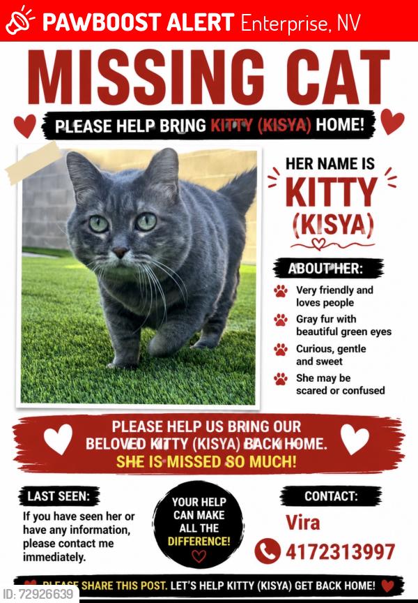 Lost Female Cat last seen Blue Diamond/cimarron, Enterprise, NV 89113