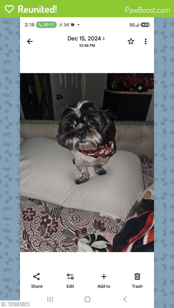 Reunited Male Dog last seen White Oak/6th , Houston, TX 77007