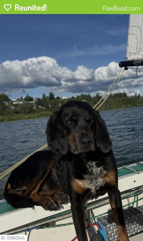 Reunited Female Dog last seen Boat Launch South side of Vancouver Lake, Vancouver, WA 98660