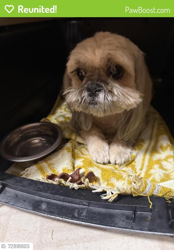 Reunited Unknown Dog last seen Cimarron Rd and West Hefner Rd, Canadian County, OK 73099