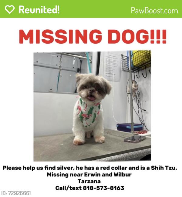 Reunited Male Dog last seen Near Crebs Ave, Tarzana, CA 91335, USA, Los Angeles, CA 91335