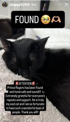 Reunited Male Cat last seen Near 2nd ave, asbury park , Asbury Park, NJ 07712