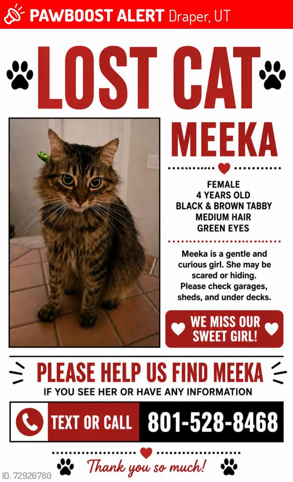 Lost Female Cat last seen Draper Amphitheater, Draper, UT 84020
