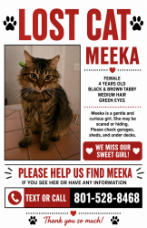 Lost Female Cat last seen Draper Amphitheater, Draper, UT 84020