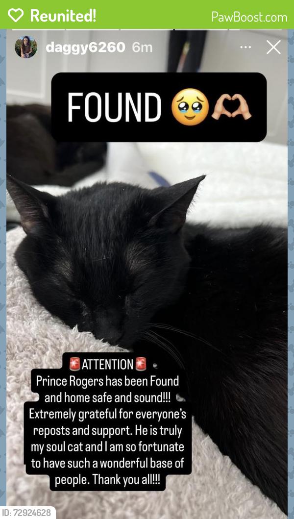 Reunited Male Cat last seen Near 2nd ave, asbury park , Asbury Park, NJ 07712