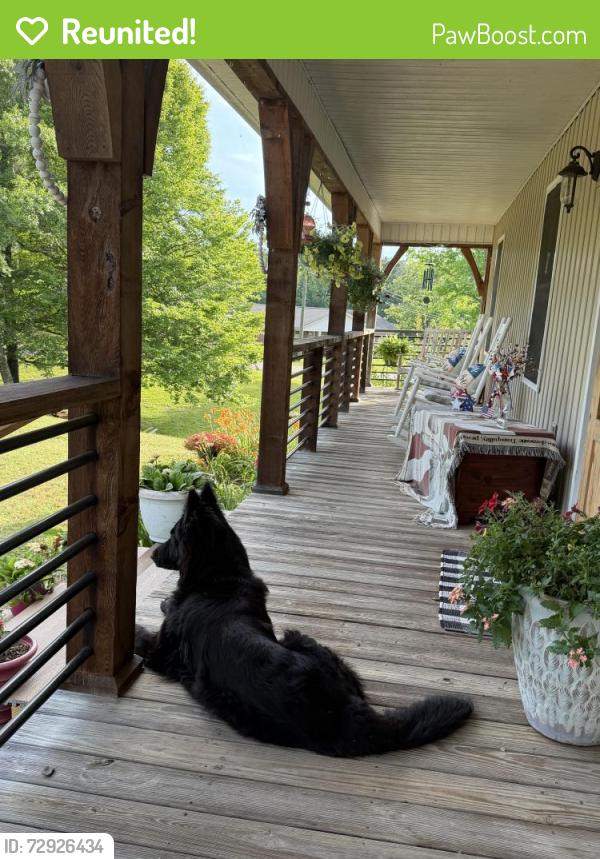 Reunited Male Dog last seen Near Alexander rd Pell city Al , Pell City, AL 35128