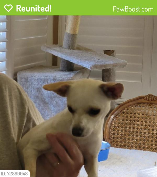 Reunited Unknown Dog last seen Mariposa , Citrus Heights, CA 95610