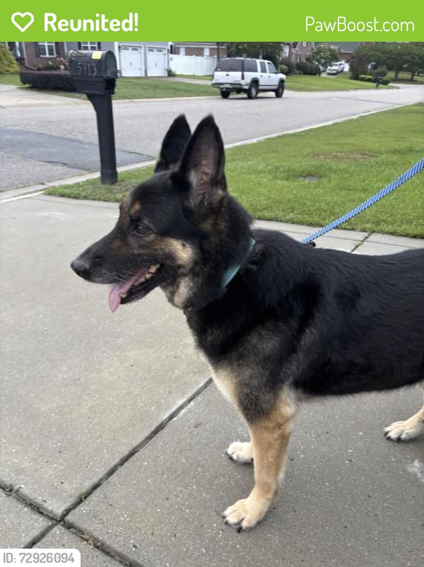 Reunited Female Dog last seen Grays creek high school , Hope Mills, NC 28348