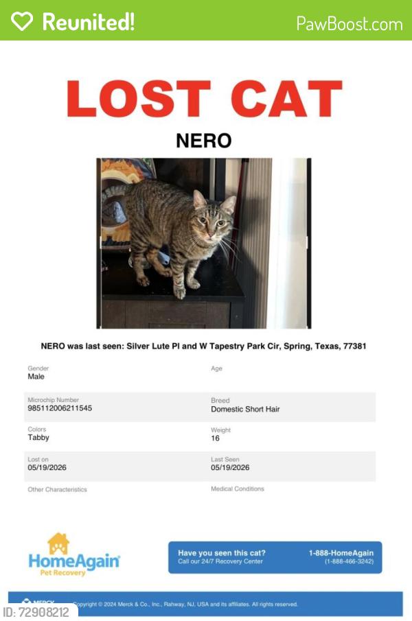 Reunited Male Cat last seen Silver lute Pl and Tapestry circle , The Woodlands, TX 77381